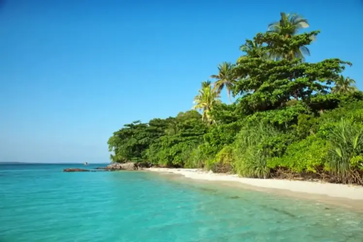 Kegiatan Seru yang Bisa Kamu Lakukan di Sekitar Pantai Karimun Jawa